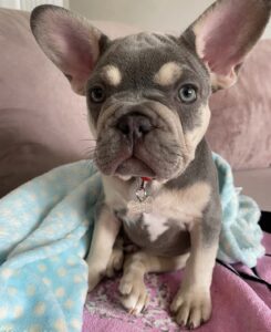 PABLO / MALE